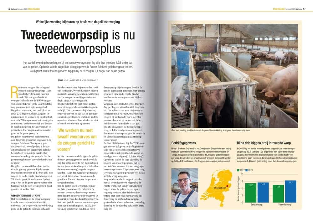 Varkens krant