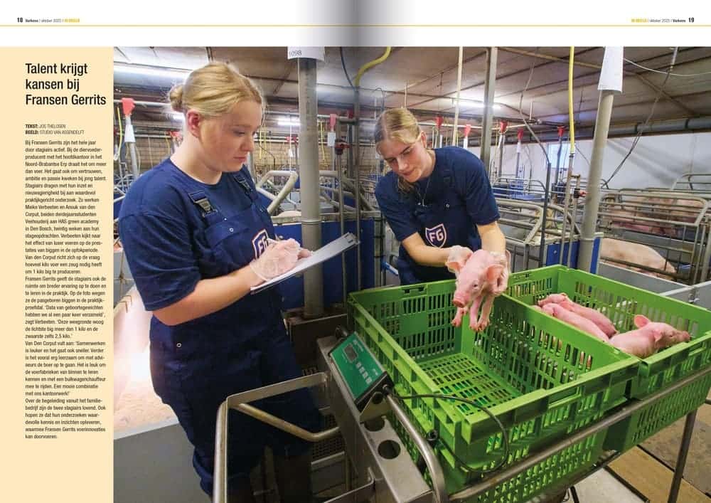 Varkens krant