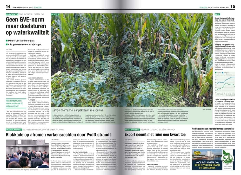 Nieuwe Oogst krant